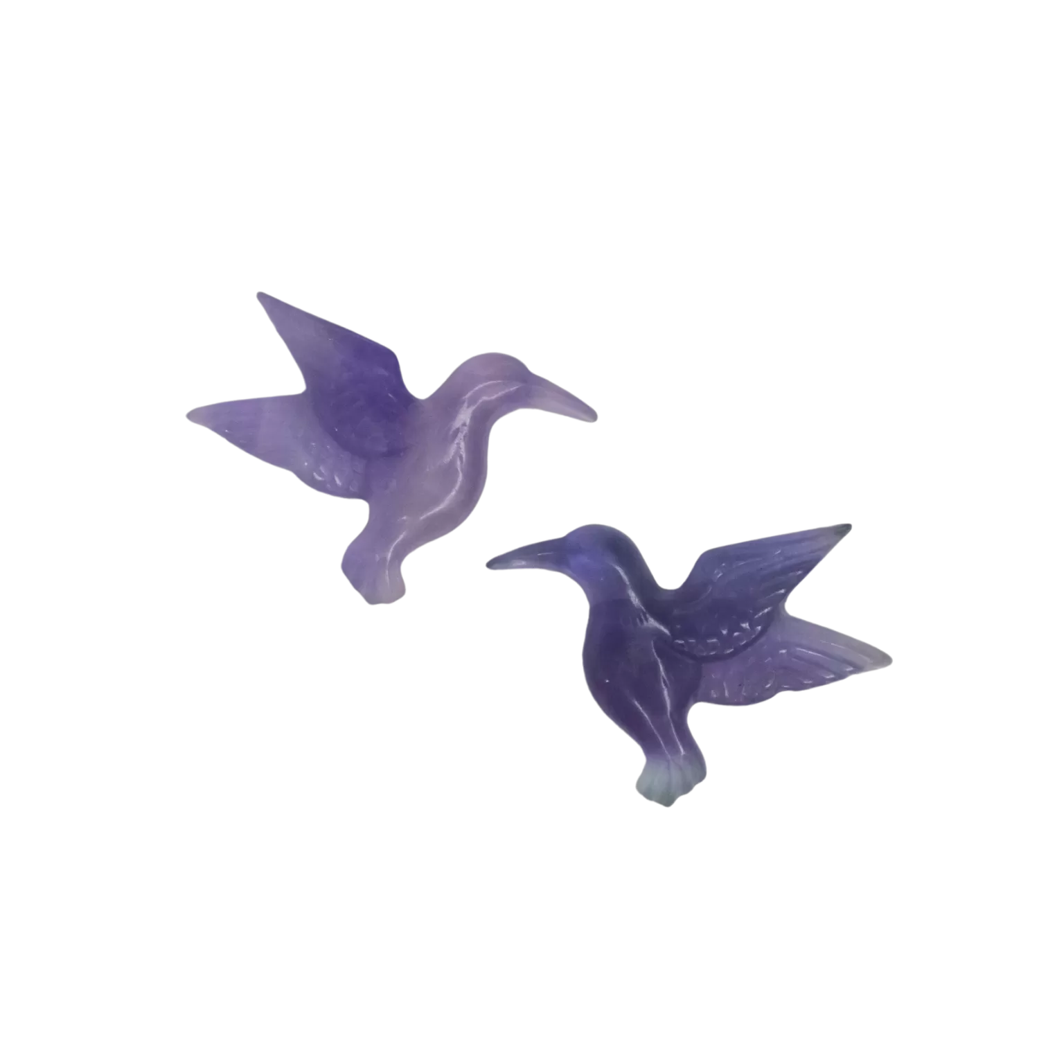 Fluorite Hummingbird