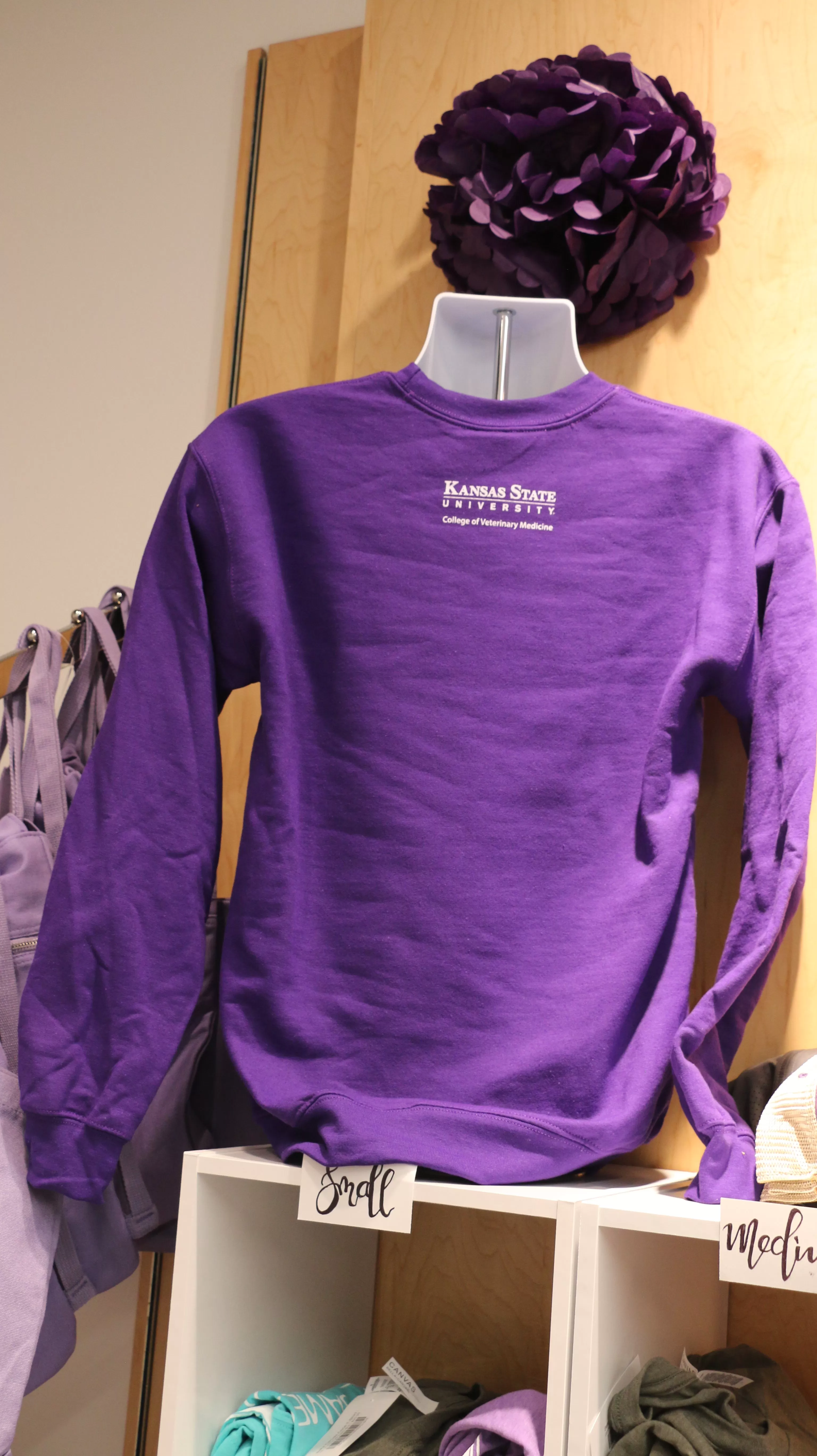 Gildan Crewneck Sweatshirt Labcoat Willie Purple