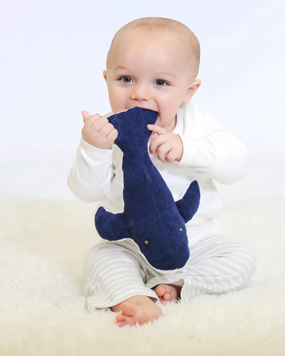 Humphrey the Whale Stuffed Animal Toy