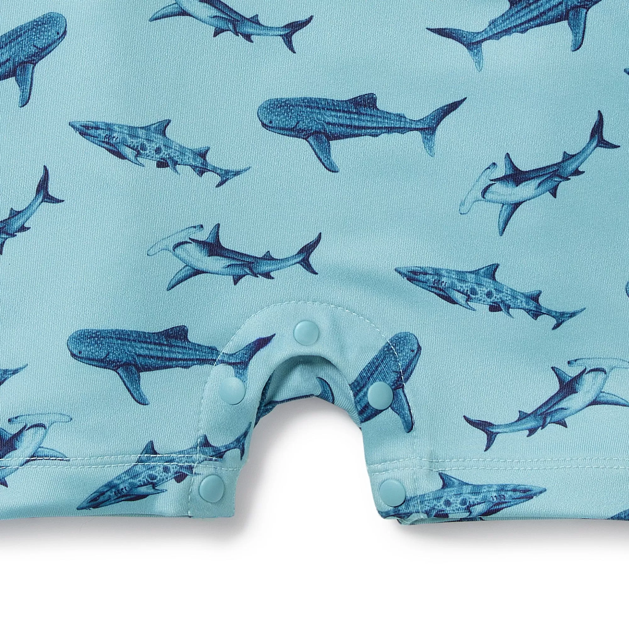 Wilson & Frenchy | Sharky One Piece Boyleg Swims